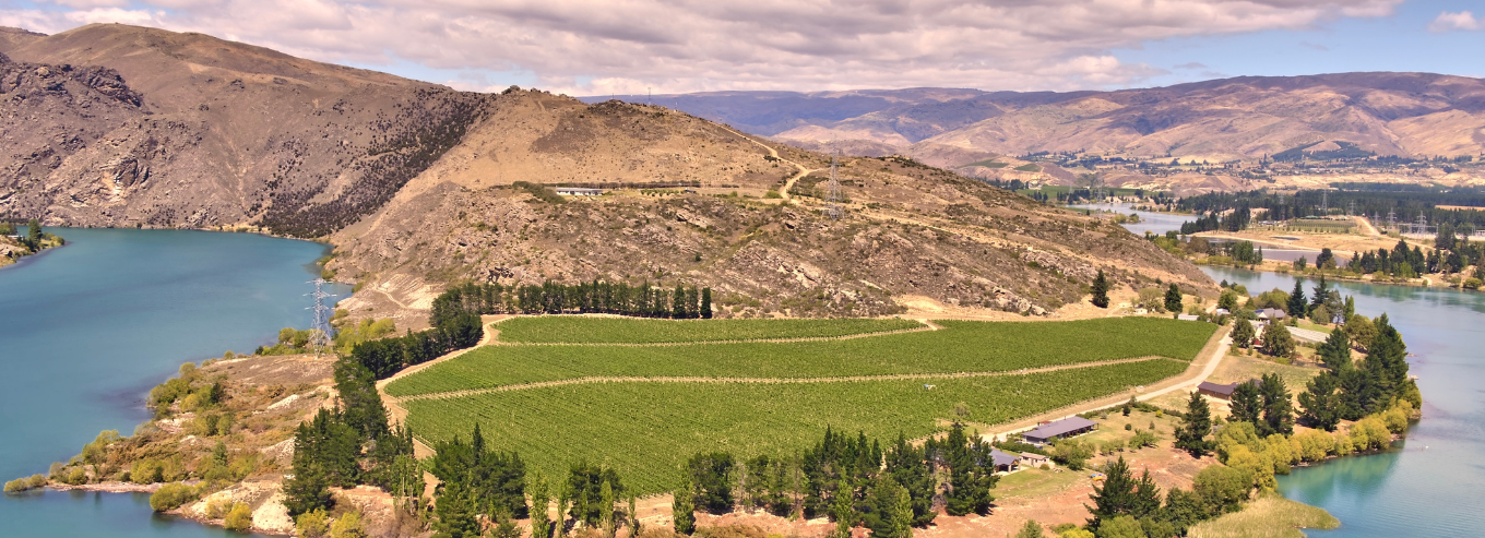 Felton Road aerial view of vineyard with mountain and lake 